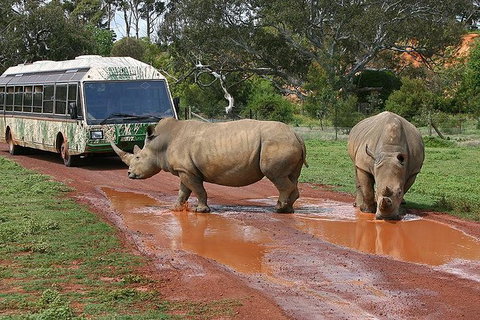 Melbourne Attractions Pass Including Melbourne Zoo, Hop-on Hop-off Bus And SEA LIFE Aquarium - Taree Accommodation 13