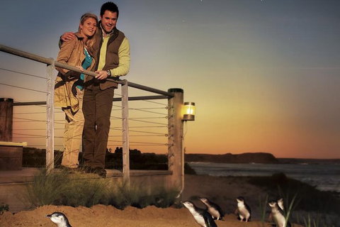 Melbourne Attractions Pass Including Melbourne Zoo, Hop-on Hop-off Bus And SEA LIFE Aquarium - Taree Accommodation 10