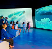 Phillip Island Antarctic Journey Entry ticket - Taree Accommodation