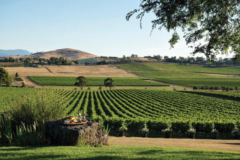 Small Group 6 Guests: Ultimate Yarra Valley Food And Wine - Mercedes Van - Taree Accommodation 5