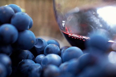 Small Group 6 Guests: Ultimate Yarra Valley Food And Wine - Mercedes Van - Taree Accommodation 4