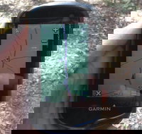 GPS guided walks in the Daylesford Forest - Taree Accommodation