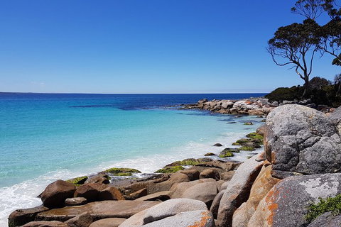 Tasmania 6 Day \'Tour In Circle\' - Taree Accommodation 4