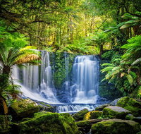 Day Tour in Mt. Field Mt. Wellington Bonorong Wildlife Sanctuary and Richmond - Taree Accommodation
