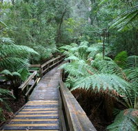 Small-group DayTour from Hobart Hastings Caves Huon Valley and Tahune AirWalk - Taree Accommodation