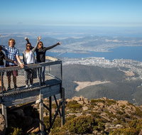 Mt Field National Park Active Day-Trip Including Bonorong and Mt Wellington - Taree Accommodation