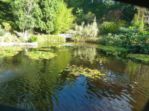 Hobart Half-Day Sightseeing Coach Tram Tour - Taree Accommodation 14