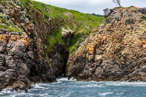 Hobart Sightseeing Cruise Including Iron Pot Lighthouse - Taree Accommodation 1