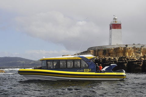 Hobart Sightseeing Cruise Including Iron Pot Lighthouse - Taree Accommodation 7