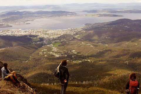 Mt Wellington Half Day Guided Summit Hike - Taree Accommodation 0