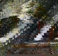 West Coast Wilderness Railway River and Rainforest from Strahan - Taree Accommodation