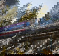 West Coast Wilderness Railway Queenstown Explorer from Strahan - Taree Accommodation