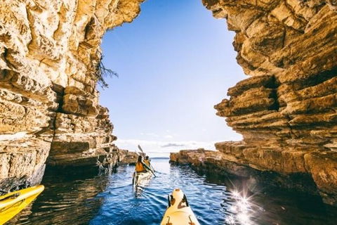 Hobart Kayak Tour - Taree Accommodation 0