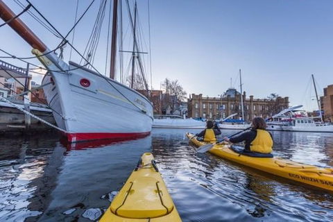 Hobart Kayak Tour - Taree Accommodation 1