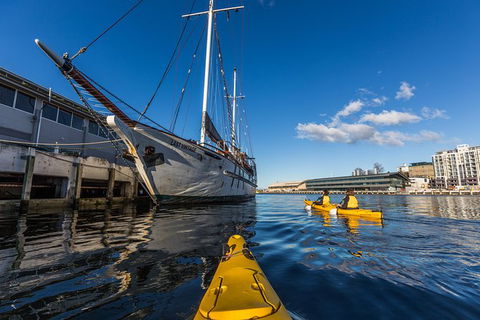 Hobart Kayak Tour - Taree Accommodation 8