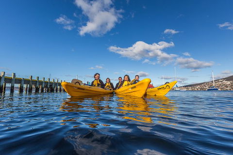 Hobart Kayak Tour - Taree Accommodation 7