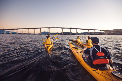 Hobart Kayak Tour - Taree Accommodation 2