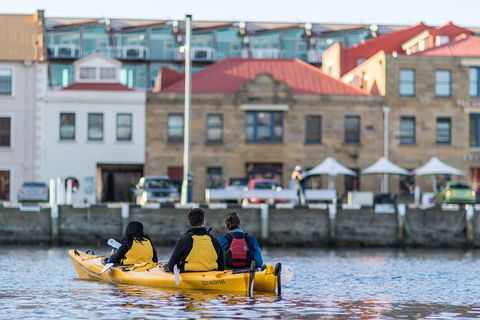 Hobart Kayak Tour - Taree Accommodation 6