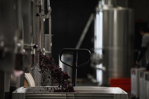 Private 90-minute Moorilla Estate Winery Tour With Tastings And Free Wine Gift - Taree Accommodation 1