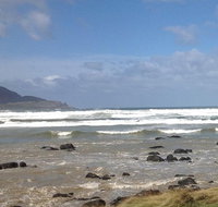 Private Bruny Island Nature Day Trip from Hobart - Taree Accommodation