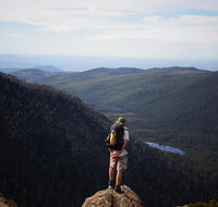 Mount Field National Park - Tarn Shelf  Russell Falls - Guided Hiking Tour - Taree Accommodation