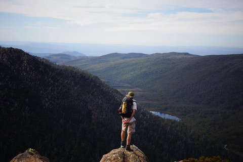 Mount Field National Park - Tarn Shelf & Russell Falls - Guided Hiking Tour - Taree Accommodation 0