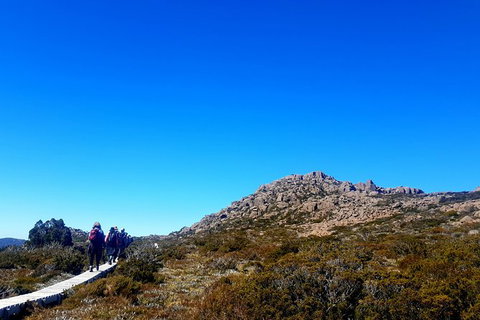 Mount Field National Park - Tarn Shelf & Russell Falls - Guided Hiking Tour - Taree Accommodation 6