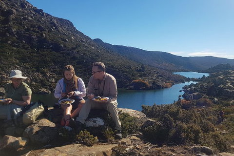 Mount Field National Park - Tarn Shelf & Russell Falls - Guided Hiking Tour - Taree Accommodation 8