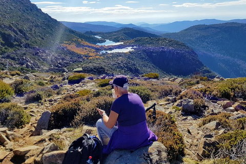 Mount Field National Park - Tarn Shelf & Russell Falls - Guided Hiking Tour - Taree Accommodation 11
