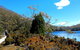 Mount Field National Park - Tarn Shelf & Russell Falls - Guided Hiking Tour - thumb 3