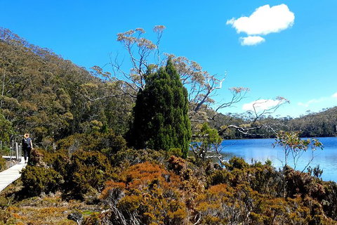 Mount Field National Park - Tarn Shelf & Russell Falls - Guided Hiking Tour - Taree Accommodation 3