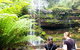 Mount Field National Park - Tarn Shelf & Russell Falls - Guided Hiking Tour - thumb 4