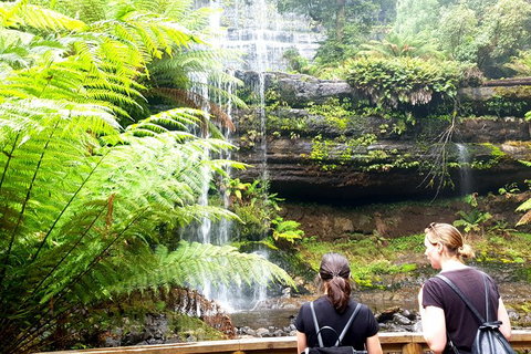 Mount Field National Park - Tarn Shelf & Russell Falls - Guided Hiking Tour - Taree Accommodation 4