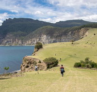 2-Day Hobart Adventure Tour Maria Island National Park and Cape Raoul Hike - Taree Accommodation