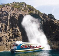 Full-Day Bruny Island Tour from Hobart - Taree Accommodation