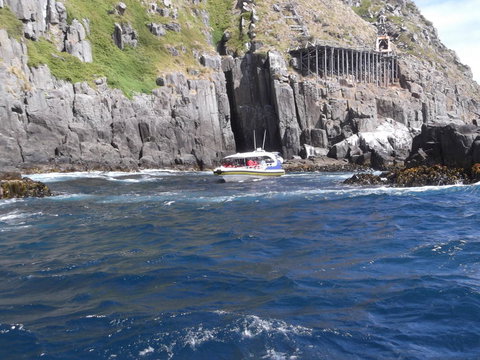 Day Trip To Tasman Peninsula And Port Arthur Historic Site From Hobart - Taree Accommodation 5