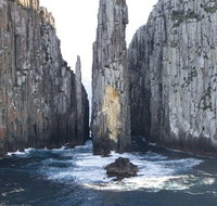 Day Trip to Tasman Peninsula and Port Arthur Historic Site from Hobart - Taree Accommodation
