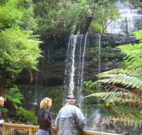 Mt Field National Park and Russell Falls from Hobart - Taree Accommodation