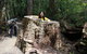 Huon Valley And Tahune Forest Airwalk Tour From Hobart - thumb 3