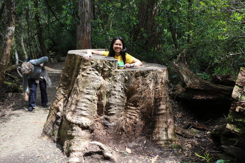 Huon Valley And Tahune Forest Airwalk Tour From Hobart - Taree Accommodation 3