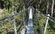Huon Valley And Tahune Forest Airwalk Tour From Hobart - thumb 1