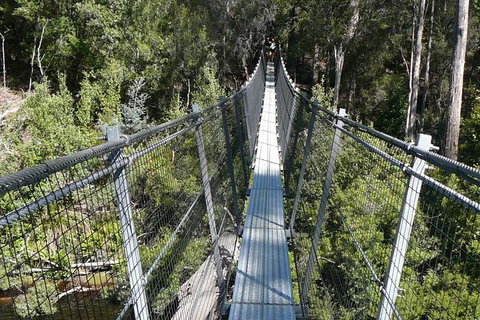 Huon Valley And Tahune Forest Airwalk Tour From Hobart - Taree Accommodation 1