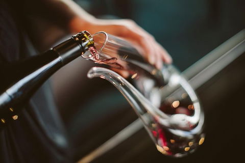 Private Moorilla Estate Tour Including Cellar Door Tasting Of Vintage Wines - Taree Accommodation 1