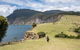 Maria Island National Park - Day Walk And Picnic Lunch - thumb 0