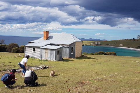Maria Island National Park - Day Walk And Picnic Lunch - Taree Accommodation 16