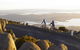 Mount Wellington Descent Cycling Tour Departs Hobart - thumb 0
