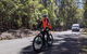 Mount Wellington Descent Cycling Tour Departs Hobart - thumb 10