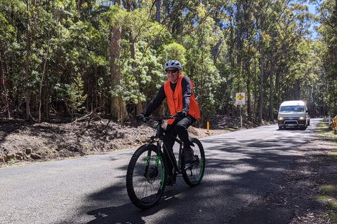 Mount Wellington Descent Cycling Tour Departs Hobart - Taree Accommodation 10