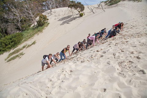 6-Day Tasmanian Explorer Adventure Tour From Hobart - Taree Accommodation 3