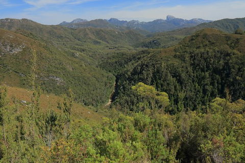 Lake St. Clair And Western Wilderness Active Day Trip From Hobart - Taree Accommodation 9